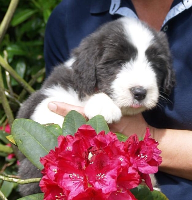 Lilli 7 Dienstag 054.jpg